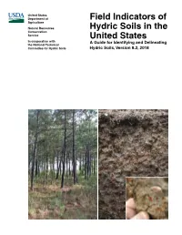 Field Indicators of Hydric Soils