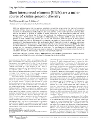 (Sines) Are a Major Source of Canine Genomic Diversity