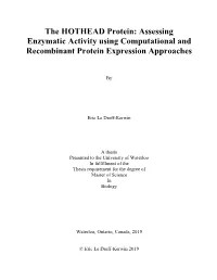 The HOTHEAD Protein: Assessing Enzymatic Activity Using Computational and Recombinant Protein Expression Approaches