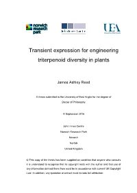 Transient Expression for Engineering Triterpenoid Diversity in Plants
