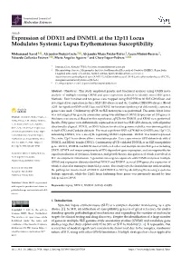 Expression of DDX11 and DNM1L at the 12P11 Locus Modulates Systemic Lupus Erythematosus Susceptibility