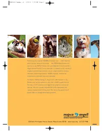 Print Layout