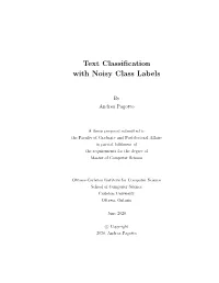 Text Classification with Noisy Class Labels