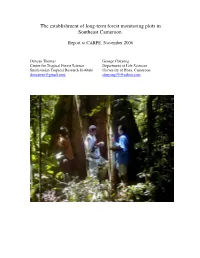 The Establishment of Long-Term Forest Monitoring Plots in Southeast Cameroon