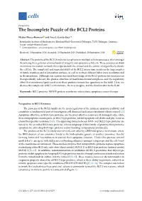 The Incomplete Puzzle of the BCL2 Proteins