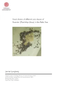 Food Choice of Different Size Classes of Flounder (Platichthys Flesus ) In