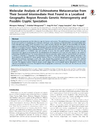 Molecular Analysis of Echinostome Metacercariae from Their Second Intermediate Host Found in a Localised Geographic Region Revea