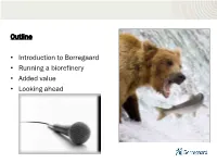 Outline • Introduction to Borregaard