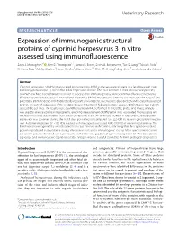 View • Inclusion in Pubmed and All Major Indexing Services • Maximum Visibility for Your Research