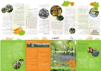 Claybury Park Has a Diverse Range of Birds