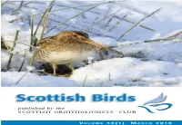 SCOTTISH Birds Offered Tremendous Views As They Fed on the Happened