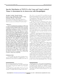 Specific Distribution of TOP-53 to the Lung and Lung-Localized Tumor Is Determined by Its Interaction with Phospholipids
