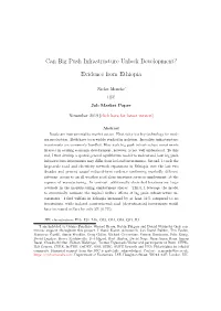 Can Big Push Infrastructure Unlock Development? Evidence