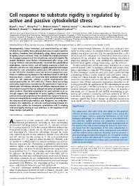 Cell Response to Substrate Rigidity Is Regulated by Active and Passive Cytoskeletal Stress