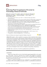 Exploring Plant Sesquiterpene Diversity by Generating Chemical Networks