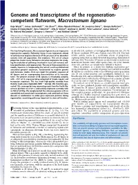 Genome and Transcriptome of the Regeneration- Competent Flatworm, Macrostomum Lignano