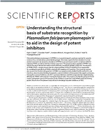 Understanding the Structural Basis of Substrate Recognition By