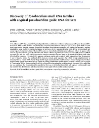 Discovery of Pyrobaculum Small RNA Families with Atypical Pseudouridine Guide RNA Features