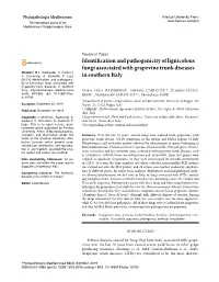 Identification and Pathogenicity of Lignicolous Fungi Associated with Grapevine Trunk Diseases Citation: M.L