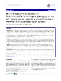 The Evolutionary Host Switches of Polychromophilus: a Multi-Gene