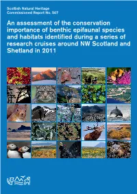 An Assessment of the Conservation Importance of Benthic Epifaunal