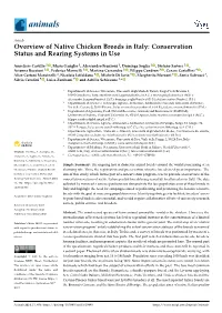 Overview of Native Chicken Breeds in Italy: Conservation Status and Rearing Systems in Use