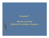 Chapter 7 Winds and the Global Circulation System