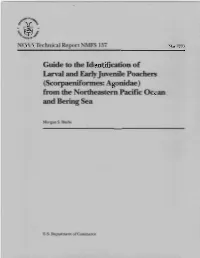 Guide to the Identification of Larval and Earlyjuvenile Poachers Fronn