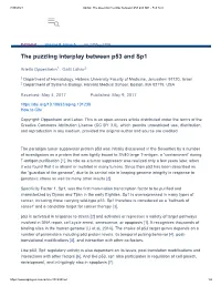 The Puzzling Interplay Between P53 and Sp1 - Full Text