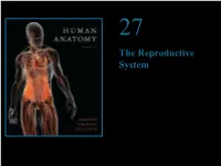 The Reproductive System