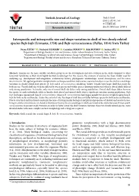 Interspecific and Intraspecific Size and Shape Variation in Skull of Two Closely Related Species Bufo Bufo (Linnaeus, 1758)