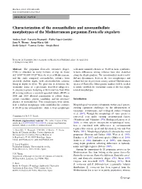 Characterization of the Zooxanthellate and Azooxanthellate Morphotypes of the Mediterranean Gorgonian Eunicella Singularis