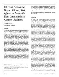 Effects of Prescribed Fire on Shinnery Oak (Quercus Havardii)
