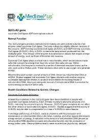 SUCLA2 Gene Succinate-Coa Ligase ADP-Forming Beta Subunit
