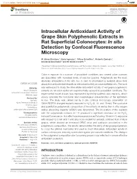 Intracellular Antioxidant Activity of Grape Skin Polyphenolic Extracts in Rat Superﬁcial Colonocytes: in Situ Detection by Confocal Fluorescence Microscopy
