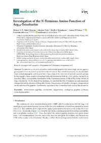 Investigation of the N-Terminus Amino Function of Arg10-Teixobactin