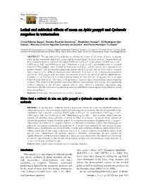 Lethal and Sublethal Effects of Neem on Aphis Gossypii and Cycloneda Sanguinea in Watermelon