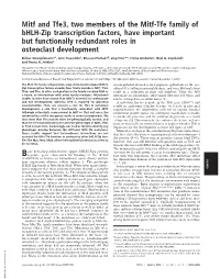 Mitf and Tfe3, Two Members of the Mitf-Tfe Family of Bhlh-Zip Transcription Factors, Have Important but Functionally Redundant Roles in Osteoclast Development