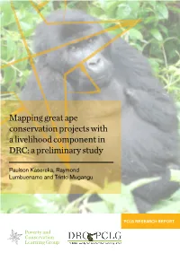 Mapping Great Ape Conservation Projects with a Livelihood Component in DRC: a Preliminary Study