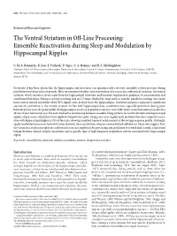 The Ventral Striatum in Off-Line Processing: Ensemble Reactivation During Sleep and Modulation by Hippocampal Ripples