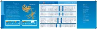 Timetable Leaflet2012-13.Pdf