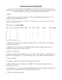 Restriction Analysis of Plasmid DNA