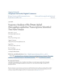 Sequence Analysis of the Potato Aphid Macrosiphum Euphorbiae Transcriptome Identified Two New Viruses Marcella A