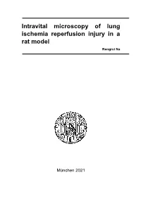 Intravital Microscopy of Lung Ischemia Reperfusion Injury in a Rat Model Rongrui Na