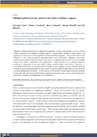 Multiple Pathways in the Control of the Shade Avoidance Response