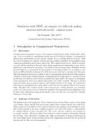 Simulation with NEST, an Example of a Full-Scale Spiking Neuronal Network Model - Seminar Paper