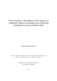 The Trajectory of Indigenous Alliances and Disputes for Addressing Development Issues in Northern Chile