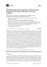 An Independent Locus Upstream of ASIP Controls Variation in the Shade of the Bay Coat Colour in Horses