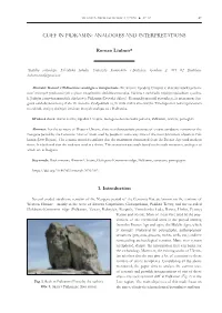CLIFF in PIDKAMIN: ANALOGIES and INTERPRETATIONS Roman