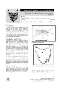 Description Distribution and Habitat Mole Creek Cave Beetle